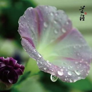 kaiyun官网开云芒种养生｜吃梅子 多运动(图2)