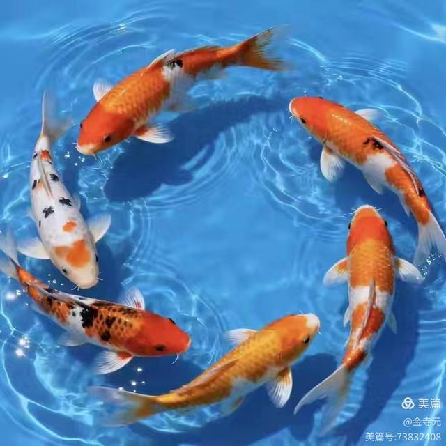 谁最需要练气功?这三类人不妨一试(图2) 谁最需要练气功?这三类人不妨一试(图2)