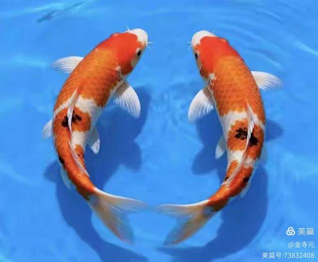 谁最需要练气功?这三类人不妨一试(图1) 谁最需要练气功?这三类人不妨一试(图1)